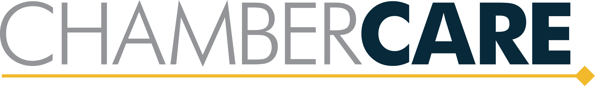 Insurance Provider Logo